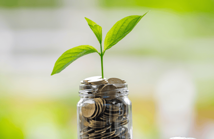 Plant growing from a jar of coins